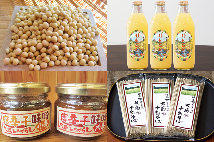 特産品その他 南信州大鹿村 塩の里直売所